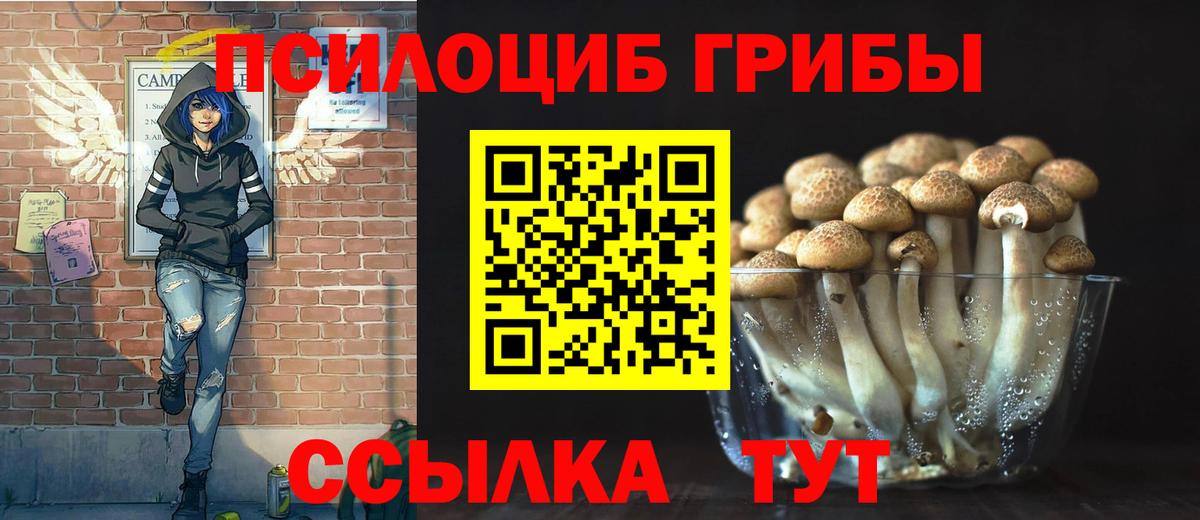 Галлюциногенные грибы прущие грибы Волжский
