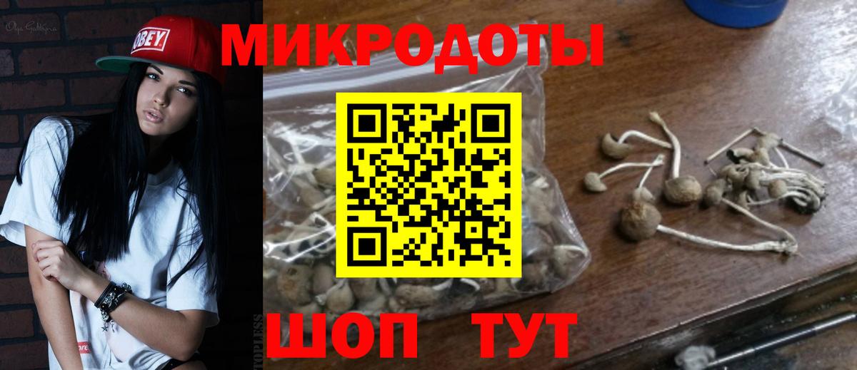 купить наркотики сайты  Галлюциногенные грибы Cubensis  Галлюциногенные грибы Psilocybe  Вход с VPN  Волжский 